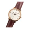 omega-de-ville-silver-dial-replica-2-1 Omega De Ville Brown Leather Strap 424.53.40.21.02.001 Top Replica 1:1